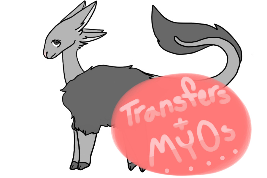 Elsonfir Transfers + MYOs