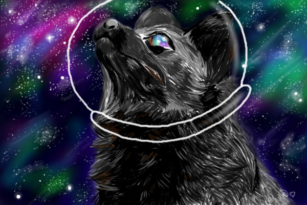 The Silver Fox in Space