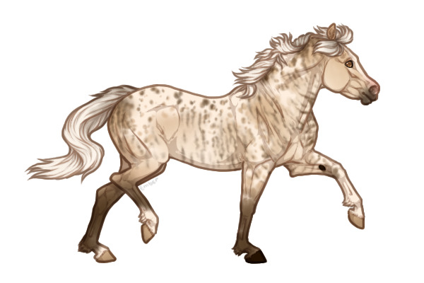 Ferox Welsh Pony #134 - Silver Buttermilk Buckskin +