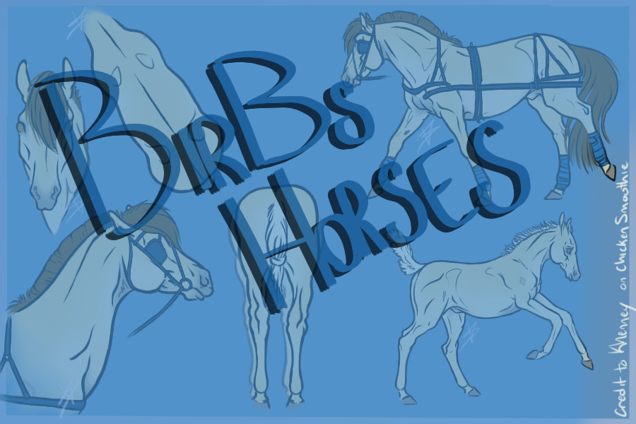 Birbs Horses