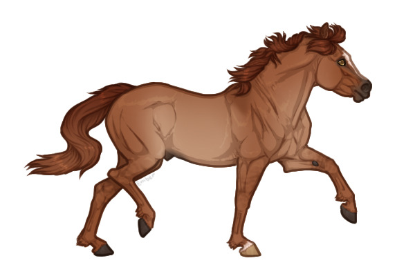 Ferox Welsh Pony #155 - Red Dun