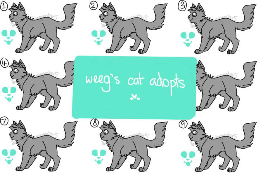 weeg's cat adopts