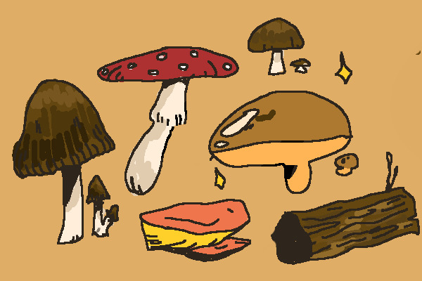 mushroom