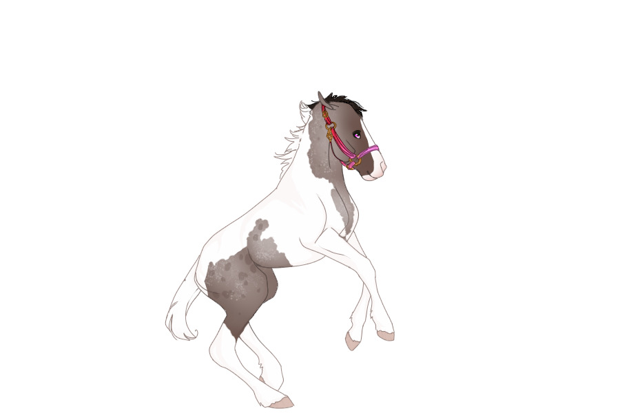 Foal version