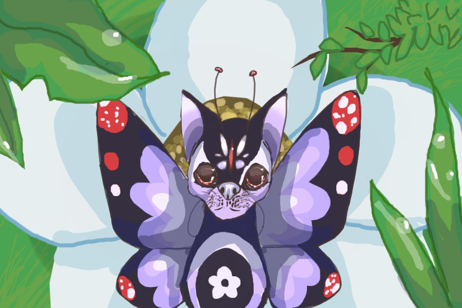 Butterfly Doggie!