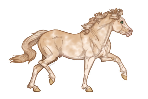 Ferox Welsh Pony #162 - Chestnut Pearl Sabino