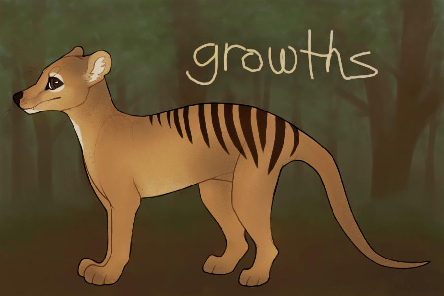 modern thylacines ☆ growths
