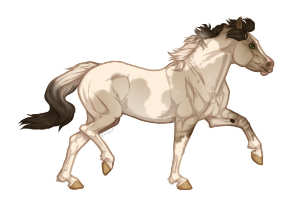 Ferox Welsh Pony #193 - Smokey grulla tobiano