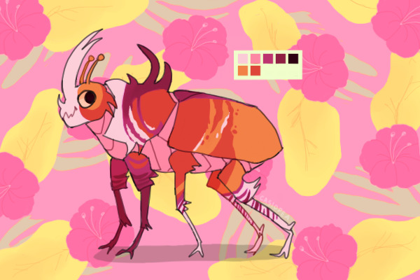 beetle buddy | cha cha