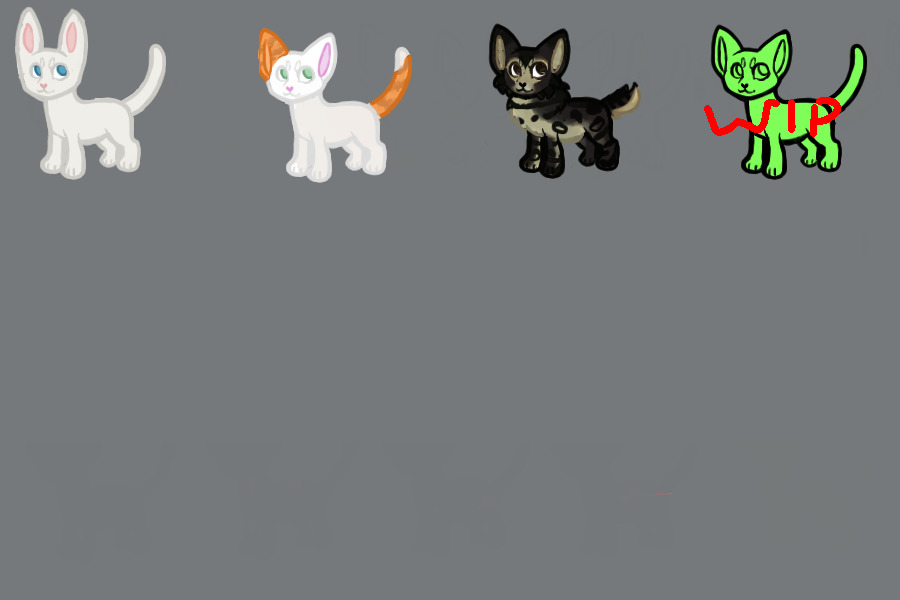 cats for event tokens