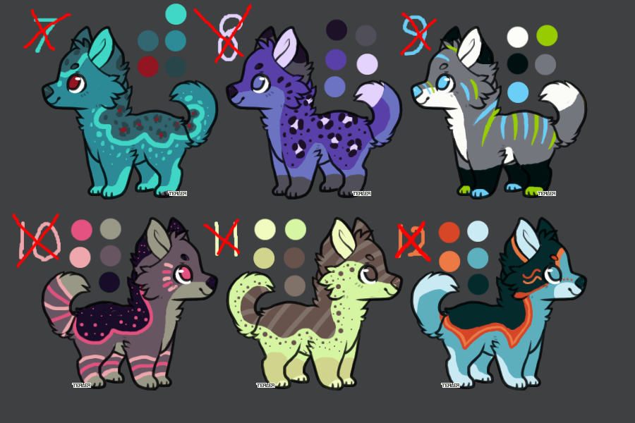 Second set of puppers for C$