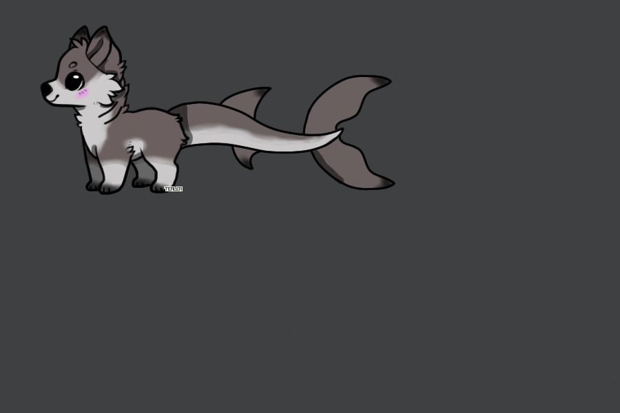 Great White Shark Pup #1