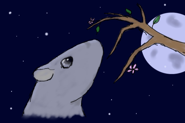 Yuki and the moon
