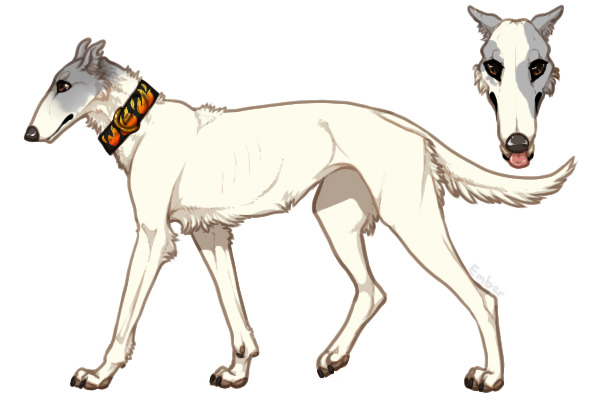 Pyrenean Wolfhound #023