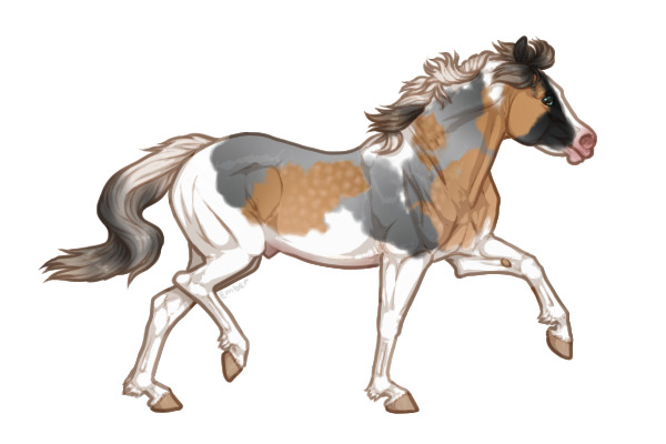 Ferox Welsh Pony #192 - Title Below
