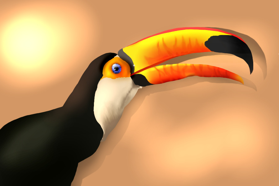 quick toucan doodle