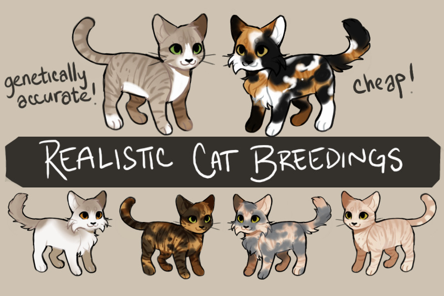 Realistic Cat Breedings