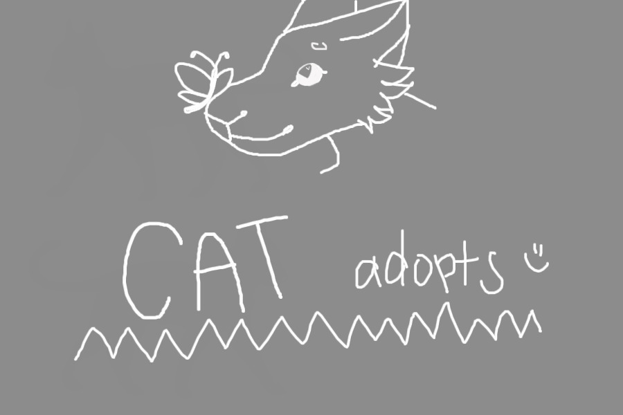 cat adopts!!