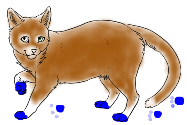 Brown Cat