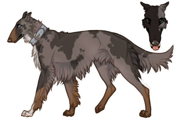 Pyrenean Wolfhound #029