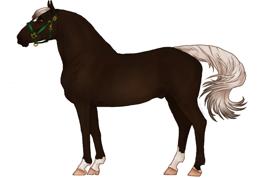 ◈ Cavall 047 ◈