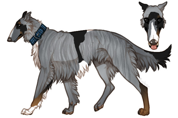 Pyrenean Wolfhound #34