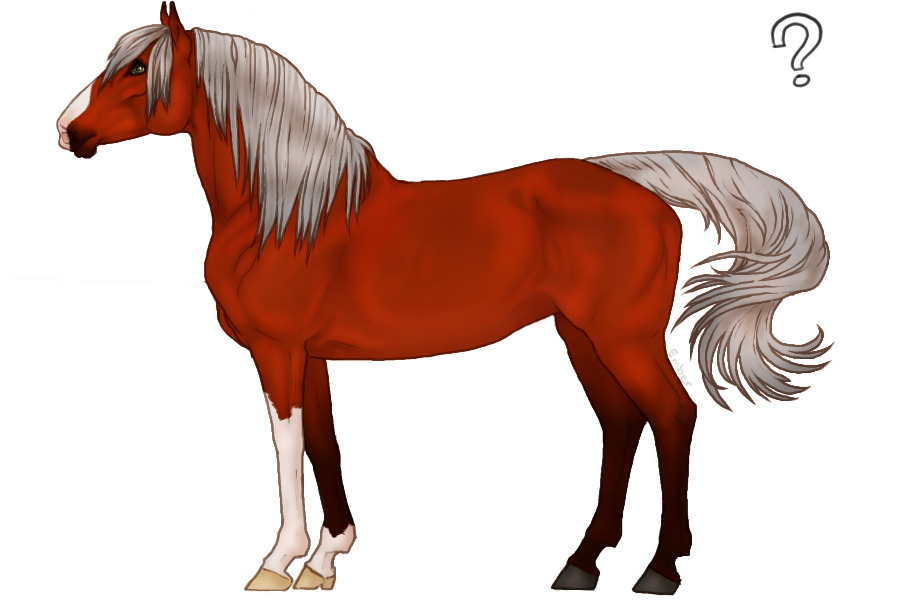 ◈ Cavall 053 ◈