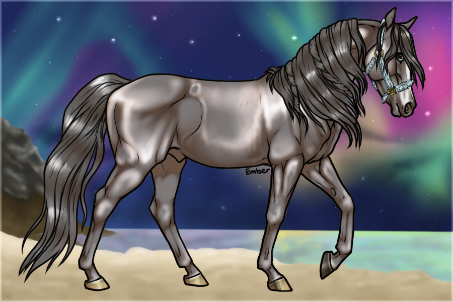 Polar Arabian Horse Stables NOT OPEN YET