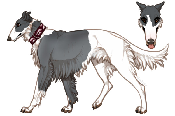 Pyrenean Wolfhound #38
