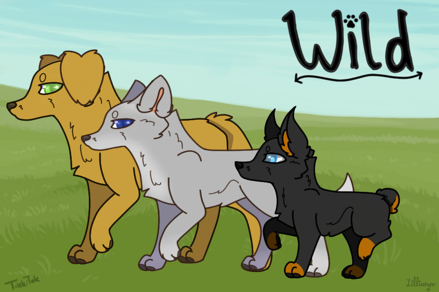 WILD - Dog Pack ARPG