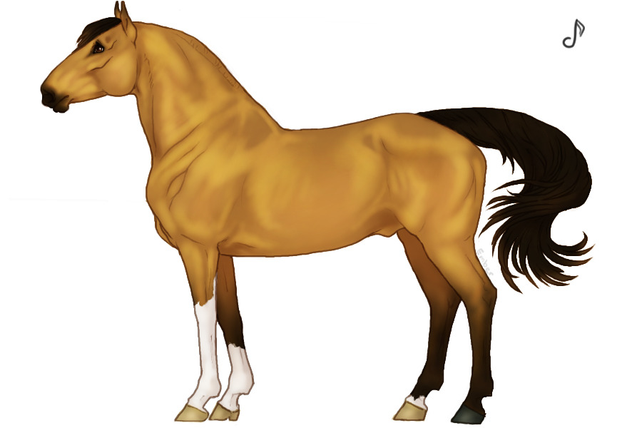 ◈ Cavall 054 ◈