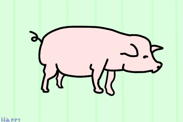 Pig Lines!