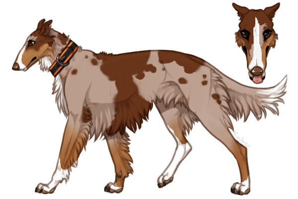 Pyrenean Wolfhound #41