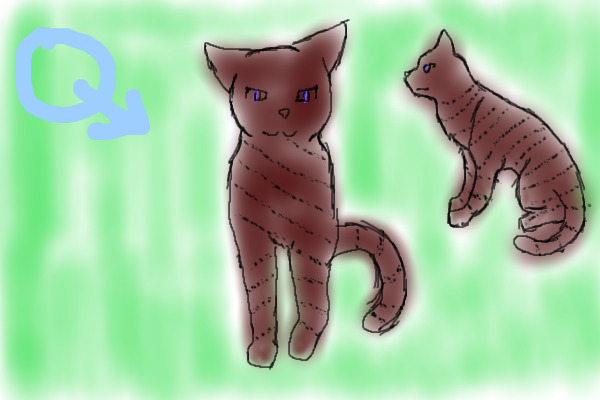 A Ribbon Cat