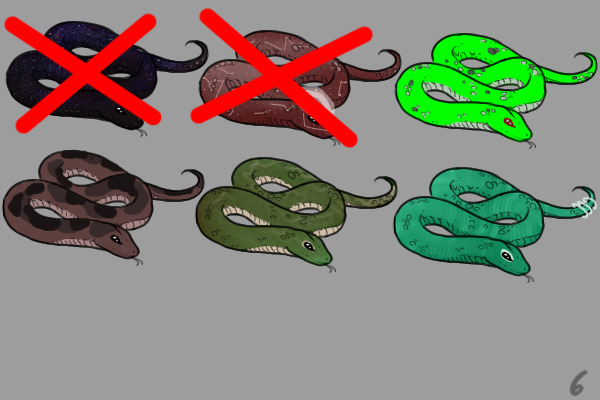 Snake Adopts!