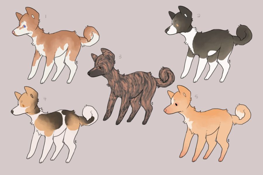 okoville dogs
