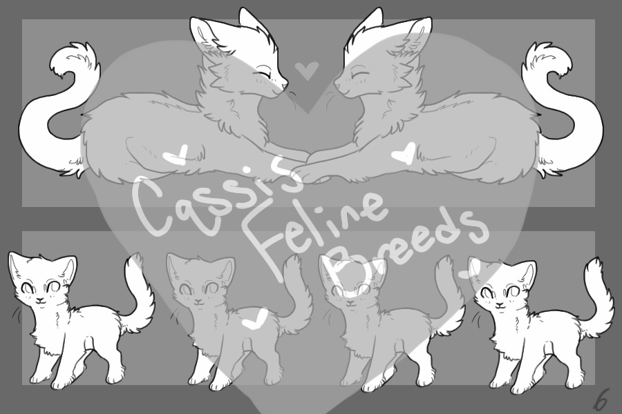 *Cqssis Feline Breeds*