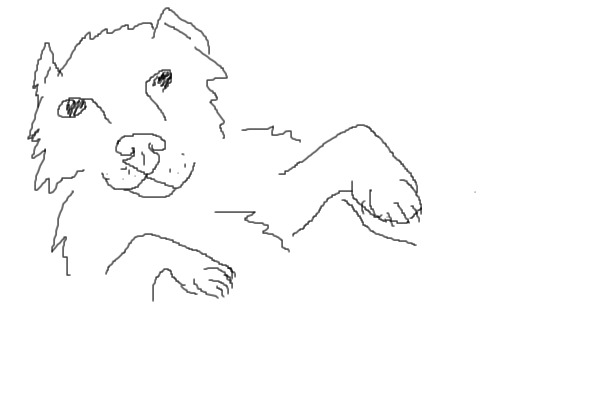 Dog Sketch <3