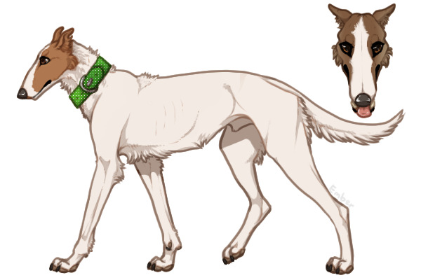 Pyrenean Wolfhound #64