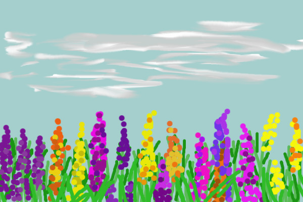 Field of Flowers