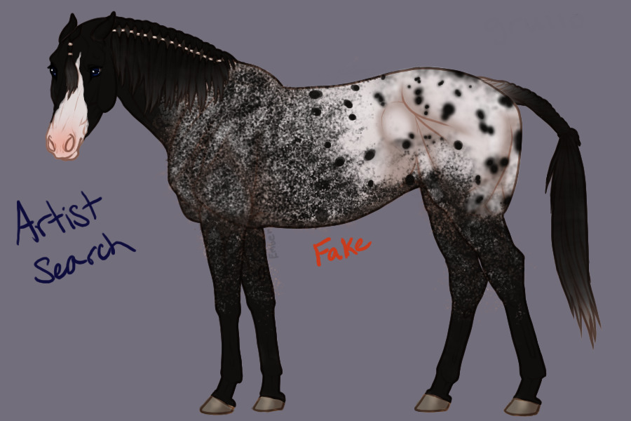 ERRP Entry Two - Black Roan Appaloosa