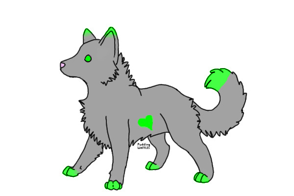 Random Puppy :3