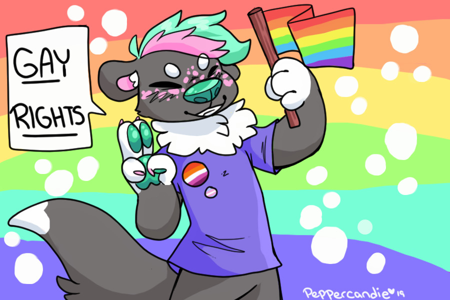 Gay Rights!
