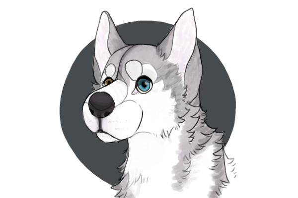 husky