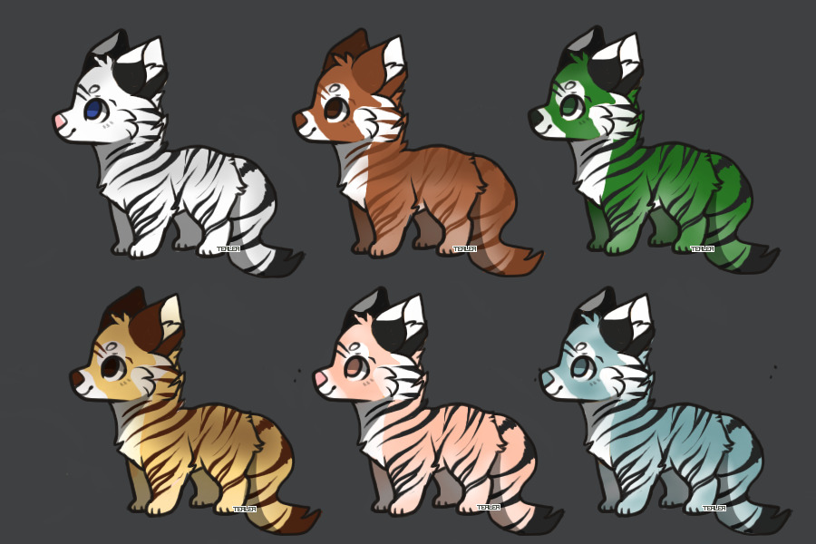 💲Babby Tigers For Sale💲