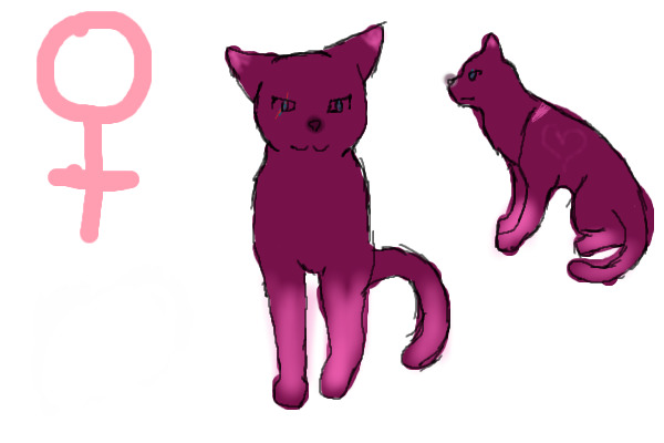 Berry Cat