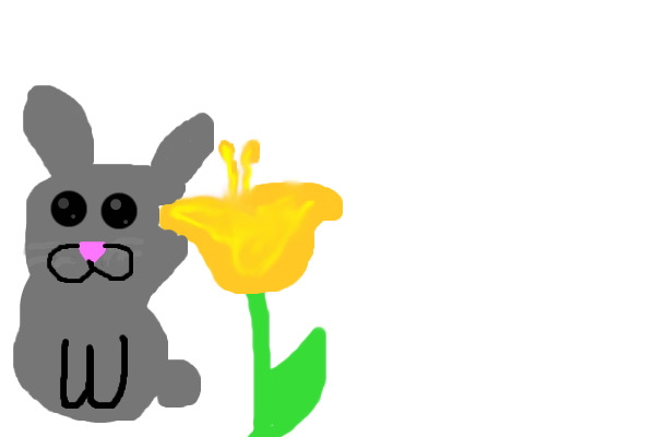 Flower for contest