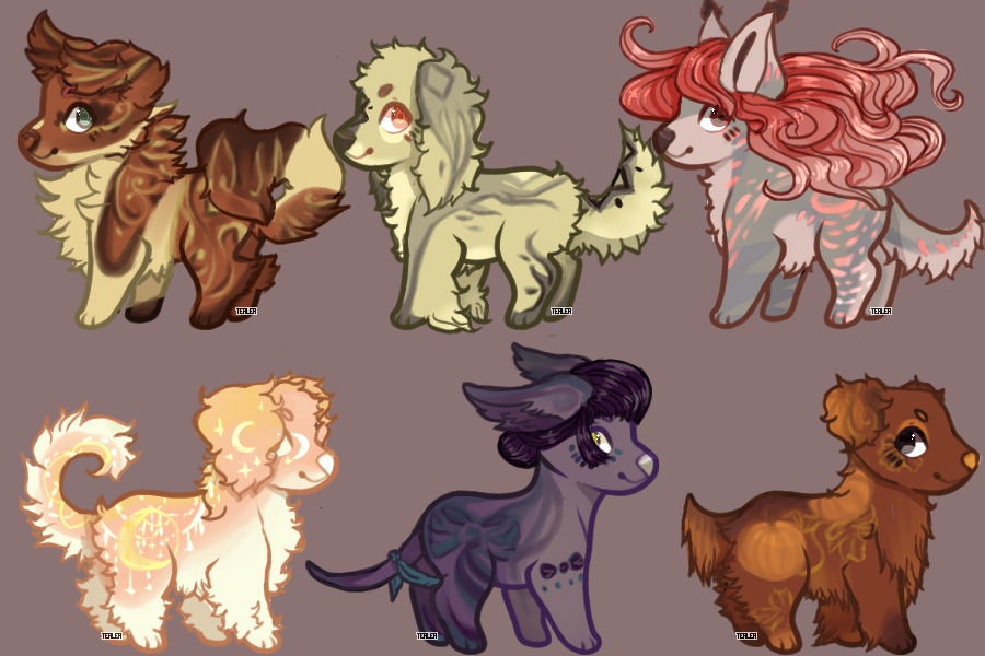Pup Adopts - Offer to Adopt Closed