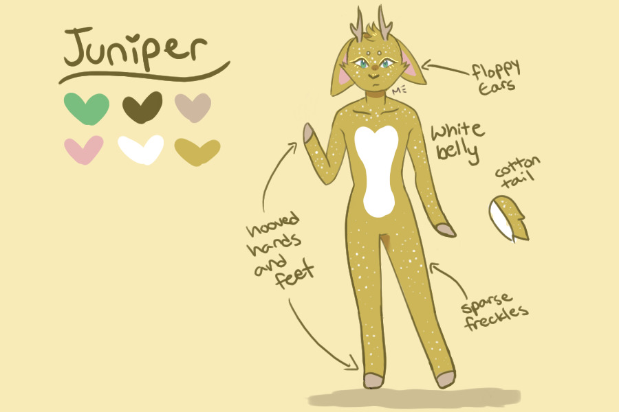 Juniper OC - not for sale