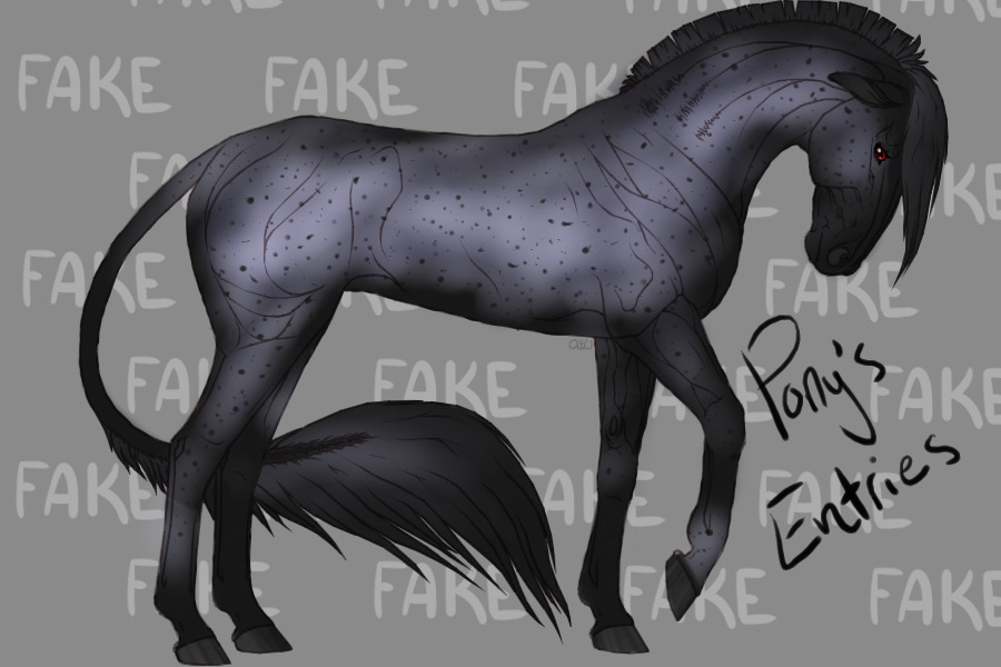 Entry #3 Blue Roan